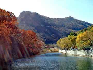 管家婆黑白马报图库，粉沫成型机